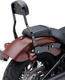 Harley-Davidson Street Bob [COBRA] – Detachable Backrest Kit-1