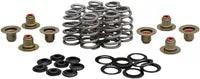 Harley-Davidson Fxlrs 1923 ABS [2026] - High Load Beehive® Federnsatz – Bild 9