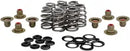 Harley-Davidson FXBR 1923 Softail Breakout 117 [2026] - High Load Beehive® spring set - picture 9