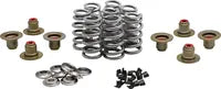 Harley-Davidson Fxlrs 1923 ABS [2026] - High Load Beehive® Federnsatz – Bild 7