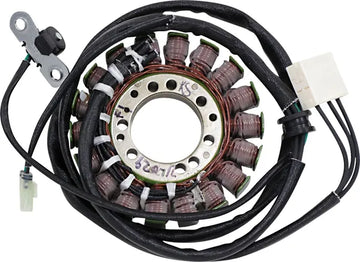 Triumph Daytona 675 [RICK'S MOTORSPORT ELECTRIC] – Stator im OEM-Stil