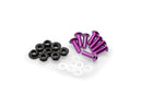 KTM RC 390 [2025] – Anodized Disc Bolt Kit – Silver-6