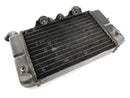 Honda Africa Twin XRV 750 RD07 [1993] - Radiator left-6