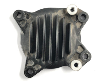 Yamaha XT 1200 Z Super Tenere DP01 [2012] - Engine cover - 0