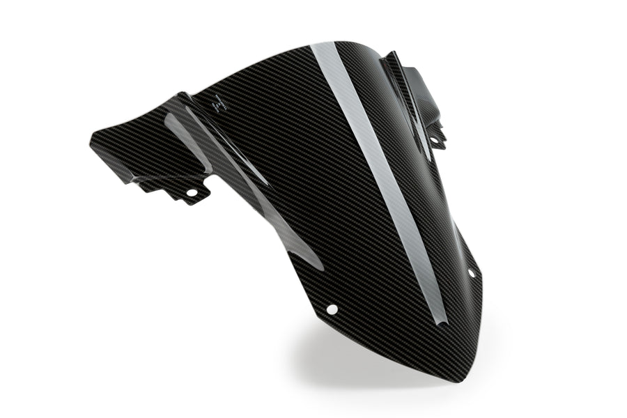 BMW S 1000 RR [2025] – Z-Racing Screen – Black