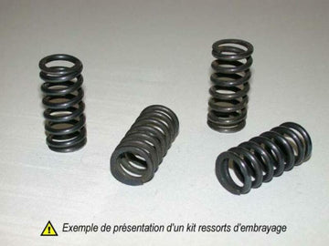 Triumph Tiger 885i [Tourmax] - Kit coupling springs