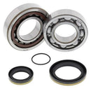 Ktm Sx 250 [ALL BALLS] - crankshaft bearing and oil seal set