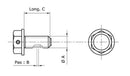 Kawasaki VN 1500 Classic [Tecnium] - magnetic drain screw-2
