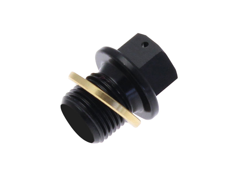 BMW R 1100 GS [Tecnium] - Drain screw