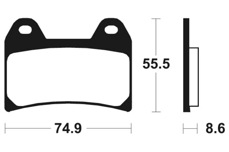 Benelli Tnt 1130 [TECNIUM] - Professional Racing Sintered Metal Brake Pads - MSR206
