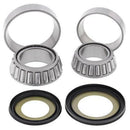 Suzuki V -Strom 800 DE DL800 [All Balls] - steering head bearings-1