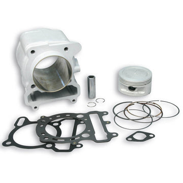 APRILIA LEONARDO 300 [2004-2005] - Zylinder-Kit - Ø74mm