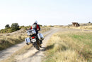 Honda Forza 750 [SHAD] - TR37 Terra Topcase 10kg 37L-8