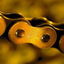 Gas Gas Ec 200 [RENTHAL] - 520 R1 Works chain 520-3