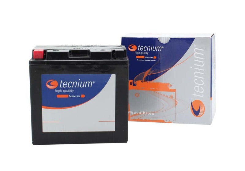 Yamaha Fjr [TECNIUM] - Maintenance Free Battery Factory Activated - BT14B-4