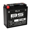 Yamaha Fjr 1300 [BS BATTERY] - SLA Maintenance Free Battery Factory Activated - BT14B-4