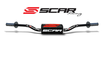 Yamaha TT 600 R [Scar] - motorcycle driver