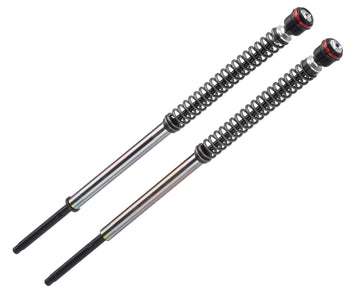 Suzuki Gsx800S [BITUBO] - JBH 01 Cartridge Kit