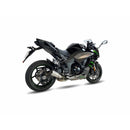 Kawasaki Ninja 1000 [IXIL] - RC muffler stainless steel / end cap carbon - CK7294RC