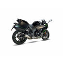 Kawasaki Ninja 1000 [IXIL] - RC muffler stainless steel / end cap carbon - CK7294RC