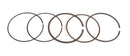 Honda SH 125 I [2021-2026] - Zylinder-Kit Grauguss Ø 53,5