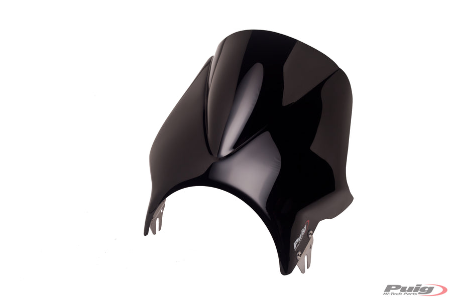 KAWASAKI W 230 [2025] – Windy windshield fairing – heavily tinted