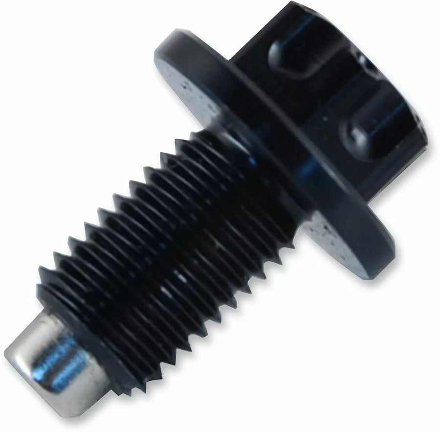 Yamaha WR 125 R [PSR] - magnetic oil drain screw