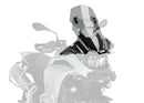 BMW F 900 GS [2025] – touring window – tinted-21