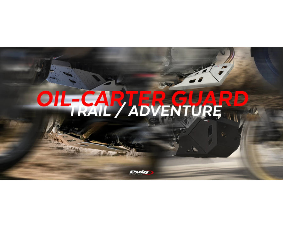 BMW F 900 GS ADVENTURE [2024] – Engine Guard – Silver