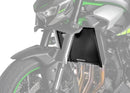 HONDA CB 1000 HORNET SP [2025] – Naked windscreen windshield front-2