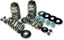 Buell S 2 T 1200 Thunderbolt [1995] - Econo Beehive® valve spring kit - picture 3