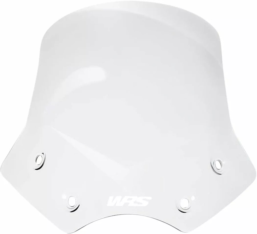 BMW R 1200 R [WRS] - windshield