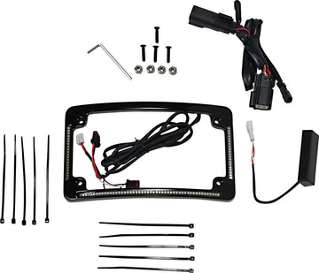 harley davidson flhr [CUSTOM DYNAMICS] – LED radius license plate frame