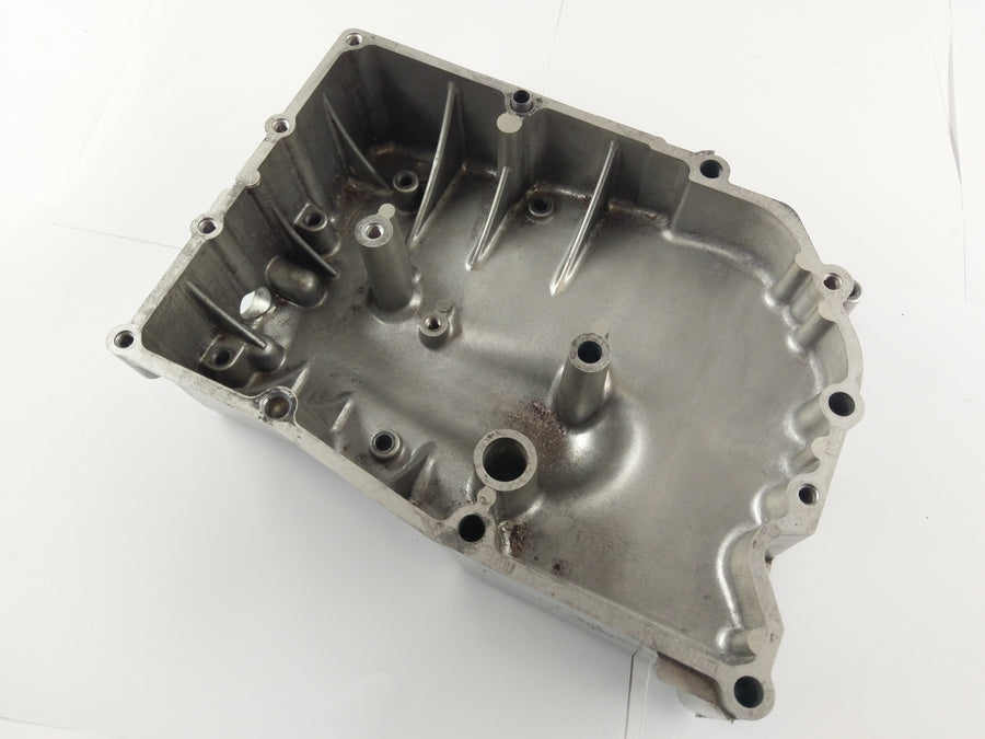 Yamaha TRX 850 4UN [1999] - Engine cover