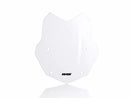 BMW R 1200 R [WRS] - windshield-5