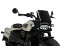 HARLEY DAVIDSON SPORTSTER S RH 1250 S [2024] – Fury – Tinted-33