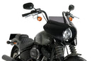 HARLEY DAVIDSON SOFTAIL STREET BOB FXBB [2019] – Mirage – Heavily tinted-12