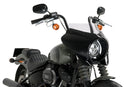 HARLEY DAVIDSON SOFTAIL STREET BOB FXBB [2019] – Mirage – Heavily tinted-38