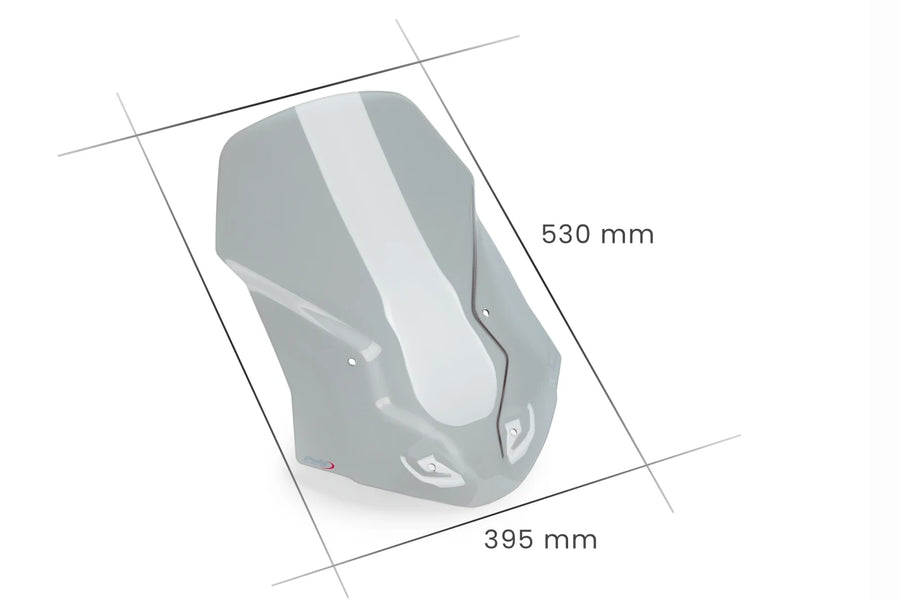 TRIUMPH TIGER 1200 RALLY PRO [2025] – touring screen – transparent