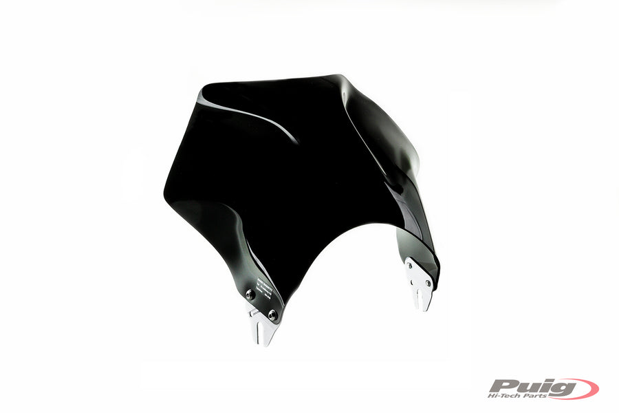 KAWASAKI Z 900 RS SE [2025] – Raptor – Tinted