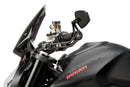 KTM 890 DUKE R [2025] – Clutch and brake lever protection with rearview mirror Pro-19