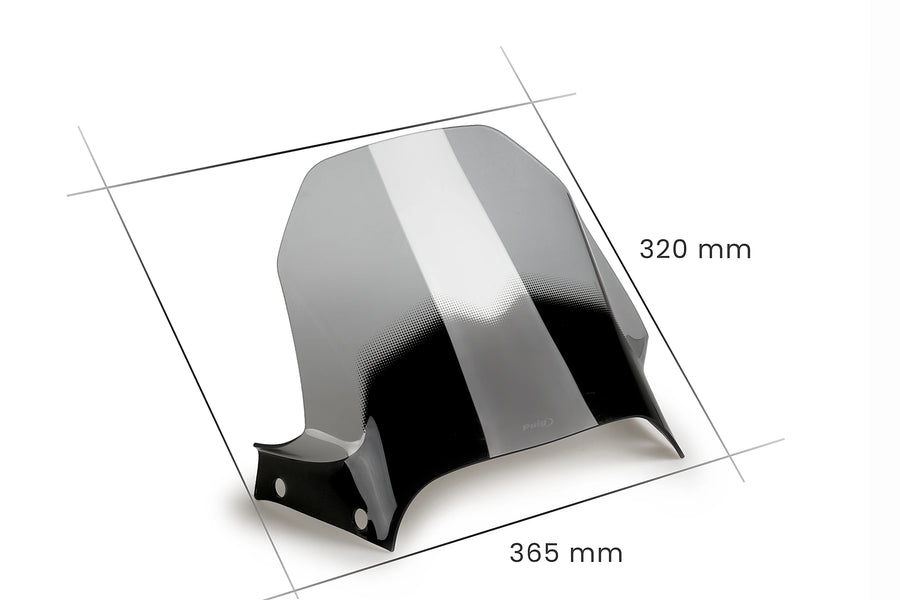 DUCATI DESERT X DISCOVERY [2025] - Sports disc | Tinted | PUIG 21448H