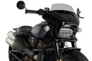 HARLEY DAVIDSON SPORTSTER S RH 1250 S [2024] – Fury – Tinted-3