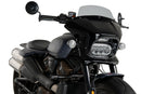 HARLEY DAVIDSON SPORTSTER S RH 1250 S [2024] – Fury – Heavily tinted-33