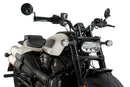 HARLEY DAVIDSON SPORTSTER S RH 1250 S [2024] – Fury – Transparent-26