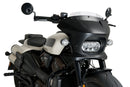 HARLEY DAVIDSON SPORTSTER S RH 1250 S [2024] – Fury – Heavily tinted-44
