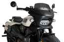 HARLEY DAVIDSON SPORTSTER S RH 1250 S [2024] – Fury – Heavily tinted-3