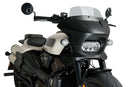HARLEY DAVIDSON SPORTSTER S RH 1250 S [2024] – Fury – Tinted-10