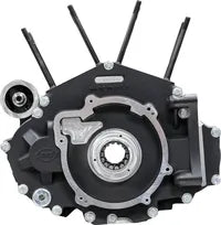 Harley-Davidson FXBB 1923 Softail Street Bob 117 [2025] - M8 Softail Kurbelgehäuse – Bild 12