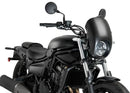 KAWASAKI ELIMINATOR 500 SE [2025] – ALU faceplate – silver-18